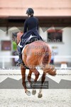 ref. photo 3659006
