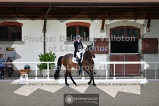 ref. photo 3659031