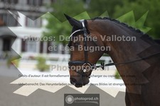 ref. photo 3659045
