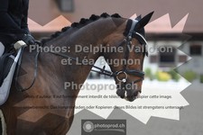 ref. photo 3659055