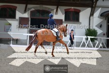 ref. photo 3659880