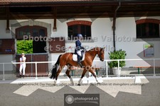 ref. photo 3660004