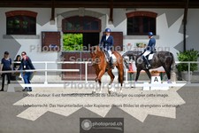 ref. photo 3660007