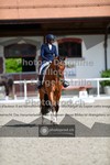 ref. photo 3660008