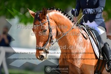 ref. photo 3660011