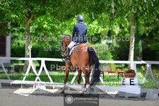 ref. photo 3660014