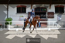 ref. photo 3660016