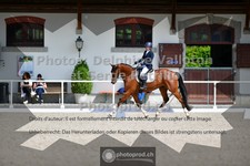 ref. photo 3660026