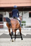 ref. photo 3660054