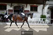ref. photo 3660106