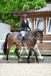 ref. photo 3660118