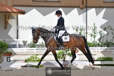 ref. photo 3660126