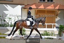 ref. photo 3660130