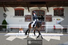 ref. photo 3660133