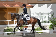 ref. photo 3660134