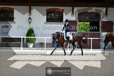 ref. photo 3660171