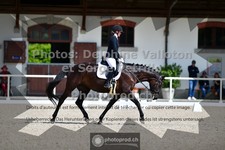 ref. photo 3660172