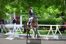 ref. photo 3660182