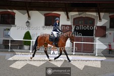 ref. photo 3660196
