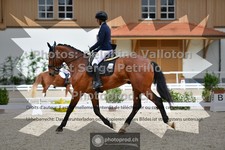 ref. photo 3660197