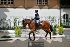 ref. photo 3660200