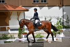ref. photo 3660201
