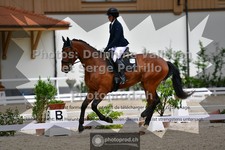 ref. photo 3660205