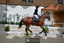 ref. photo 3660209