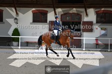 ref. photo 3660210