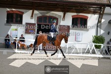 ref. photo 3660223