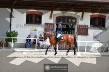 ref. photo 3660234