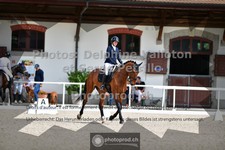 ref. photo 3660236
