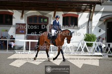 ref. photo 3660237