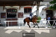 ref. photo 3660256