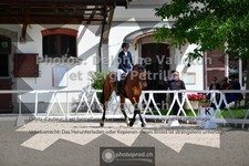 ref. photo 3660259