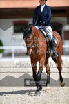ref. photo 3660264