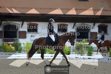 ref. photo 3660319