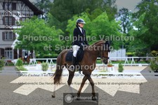ref. photo 3660325