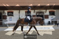 ref. photo 3660336