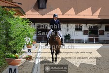 ref. photo 3660354