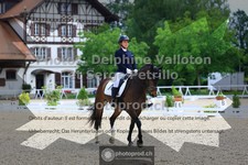 ref. photo 3660361