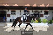 ref. photo 3660368