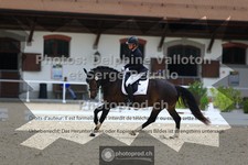 ref. photo 3660383