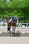 ref. photo 3660412
