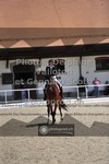 ref. photo 3660447