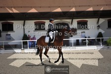 ref. photo 3660452