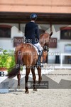 ref. photo 3660471