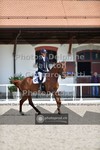 ref. photo 3660474