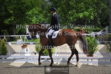 ref. photo 3660491