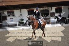 ref. photo 3660500